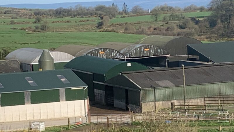 Farm Cleaning