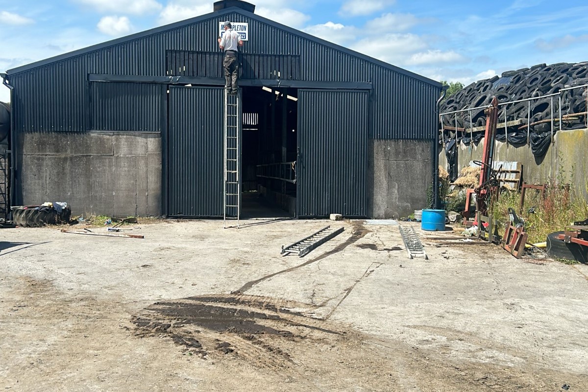 Farm Shed Painting